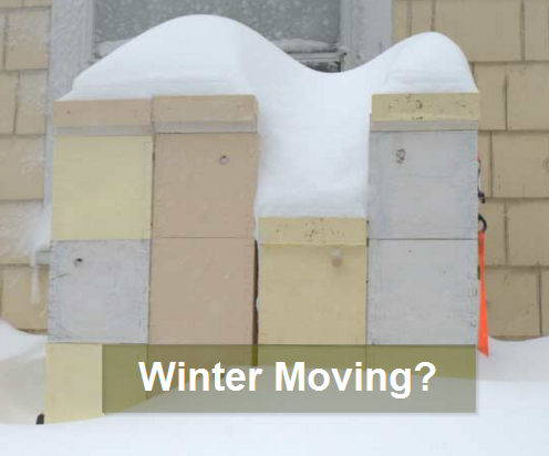 Winter Moving Downsizing Elder Move